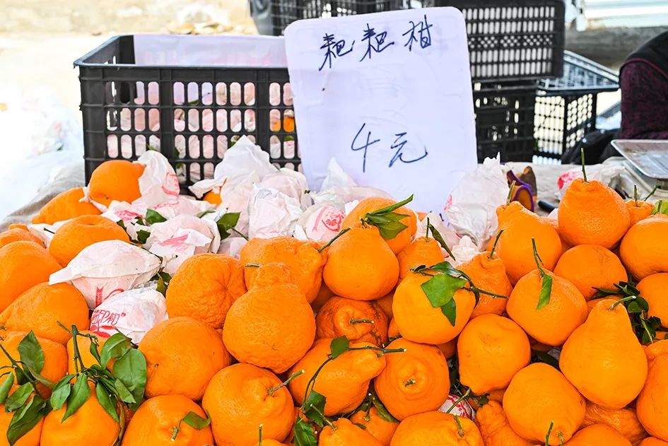 北京京郊大集地理位置,今天京郊哪有大集