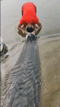 玉米地发现不明液体怎么办,玉米地发现的怪事