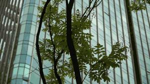 weebill2稳定器怎么样,weebill稳定器手机