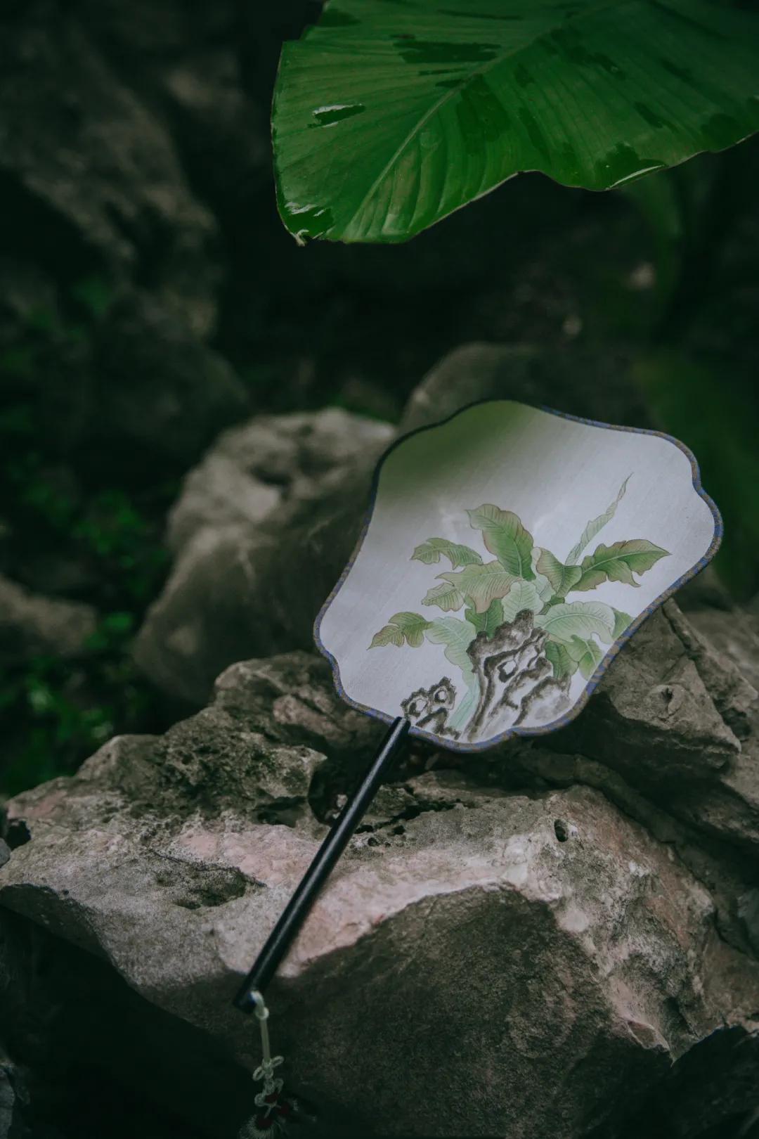 隔窗听夜雨先闻芭蕉声,隔窗知夜雨芭蕉先有声