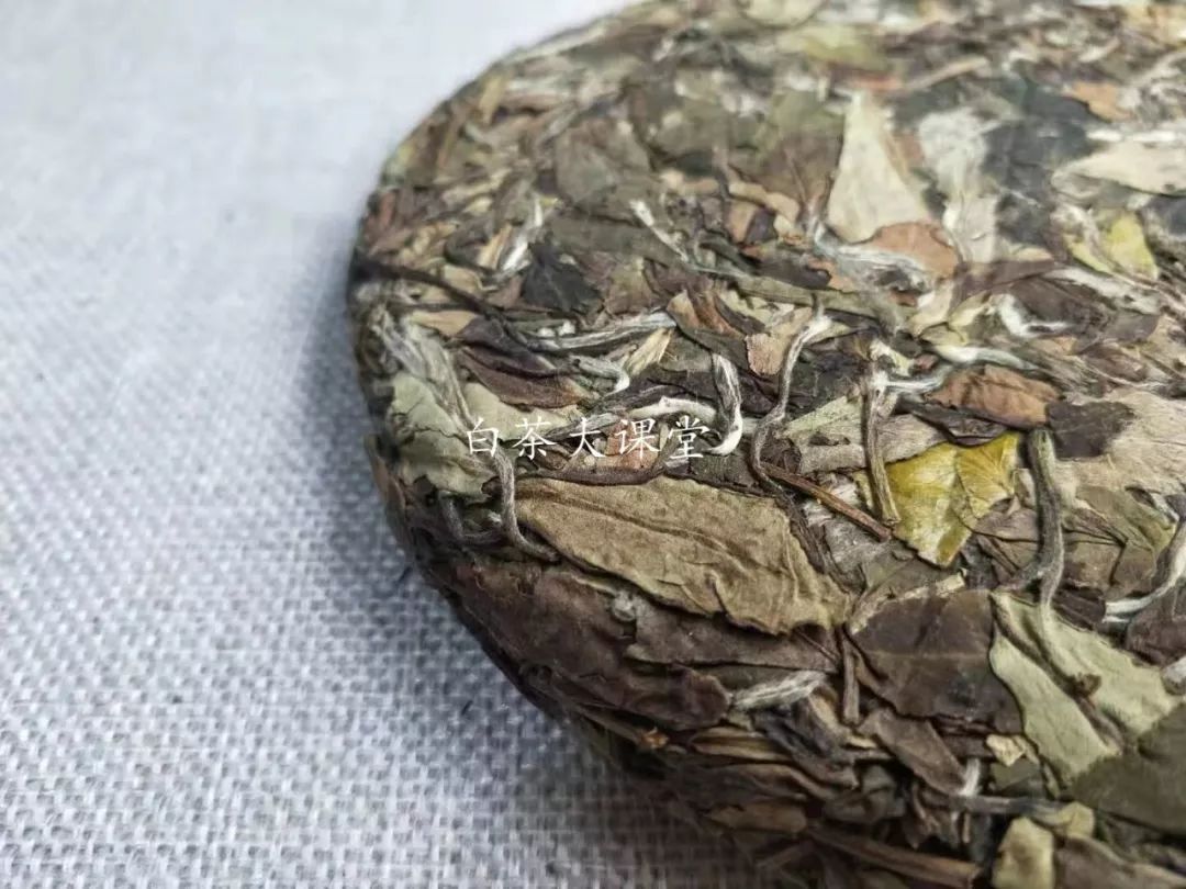 白茶究竟是什么?喜欢茶的你,这三点不妨多看