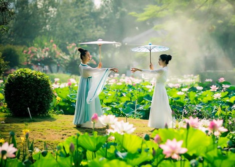 李白江南可采莲,李白有一首称赞姑娘很美的诗