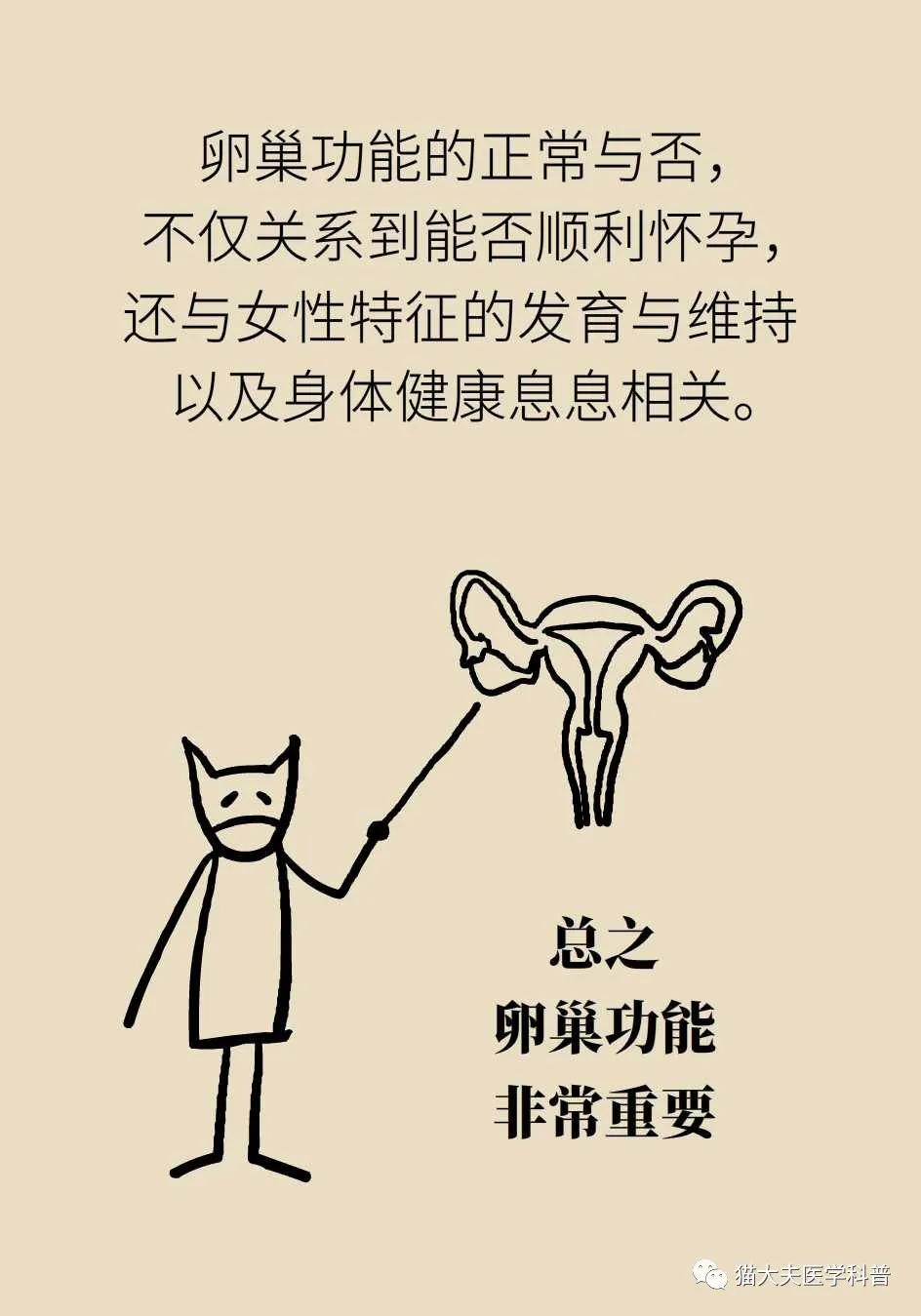 30岁例假就两月一次怎么办,30岁例假就特别少原因