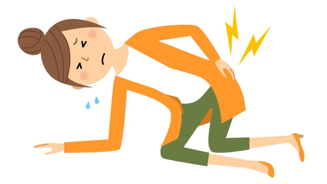 久坐久站都伤腰？每天10分钟腰椎保护操，保护你的老腰