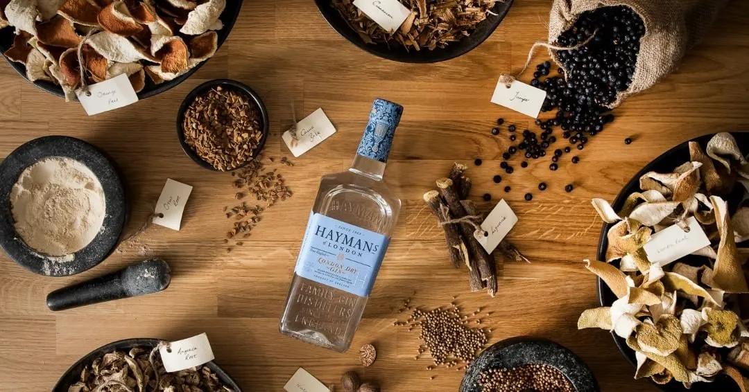 荷兰金酒怎么喝好喝,金酒一般怎么喝