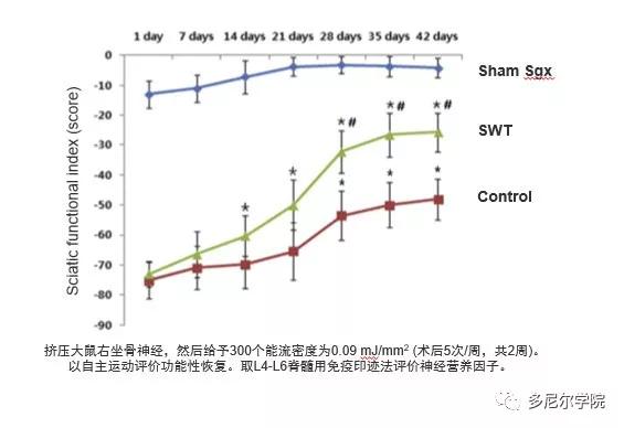 神话战斗力最强的生物,冲击波的生物学效应