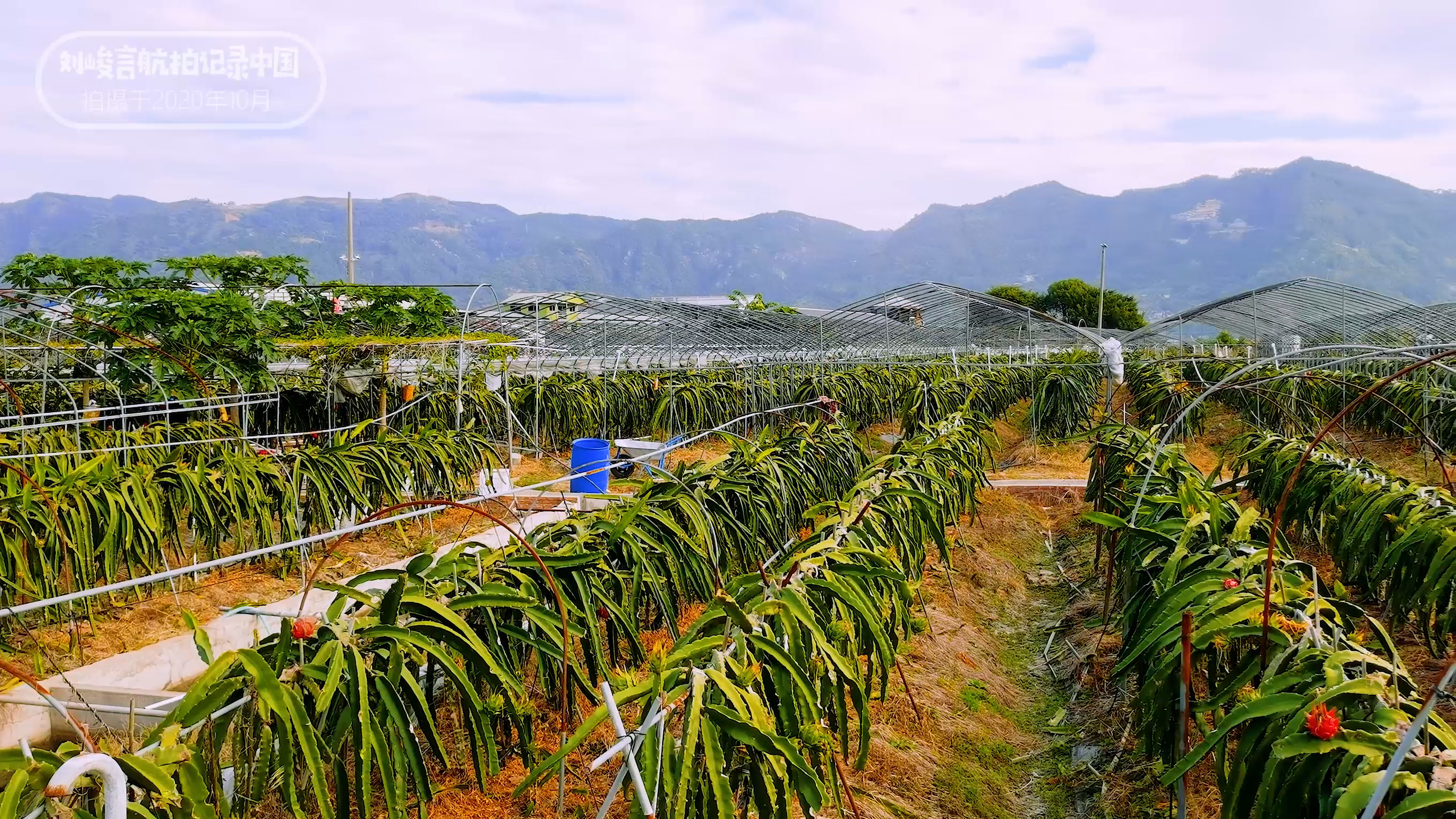 霞浦大自然的鬼斧神工,福建霞浦中国绝美滩涂