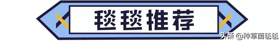 夏季穿搭必买的单品,夏季必备单品