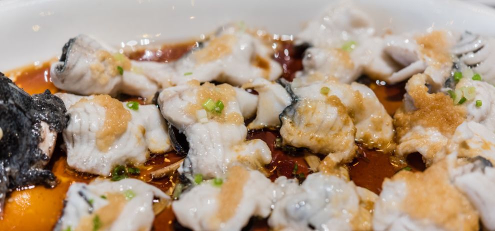 鱼儿食欲怎么样,鱼儿是怎么吃东西