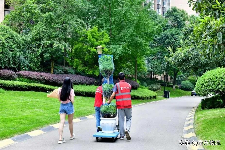 毕业老师送礼物,老师送礼物给我我应该怎样说