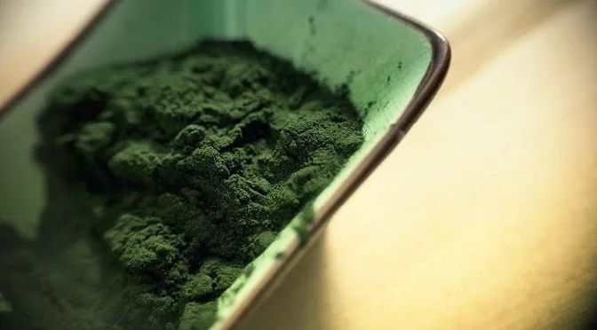 吃我：海藻对你有八个好处