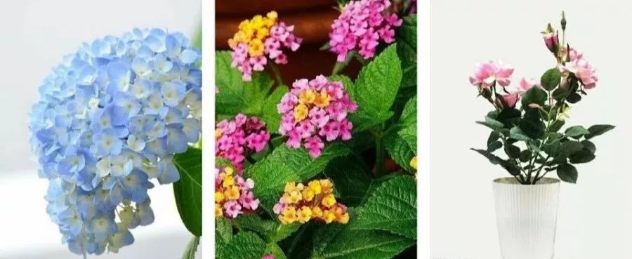 3岁孩子误食了药物属于意外吗,小孩误食绿植肥料怎么办