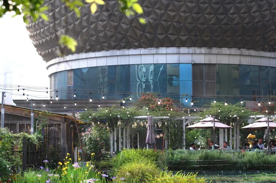 成都咖啡排行榜前十名,咖啡图鉴大全电子书