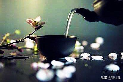 禅茶一味的真正含义是什么,禅茶一味的境界