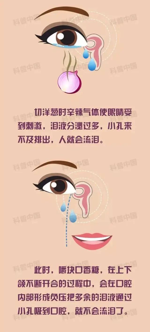 不小心吞了口香糖到肚子里没事吧,不小心吞了口香糖要吃什么药吗