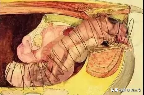 接产要领及接产步骤,助产催产方法