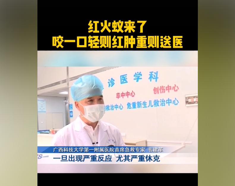 小孩被红火蚁咬后脓包怎么处理,孩子被红火蚁咬伤