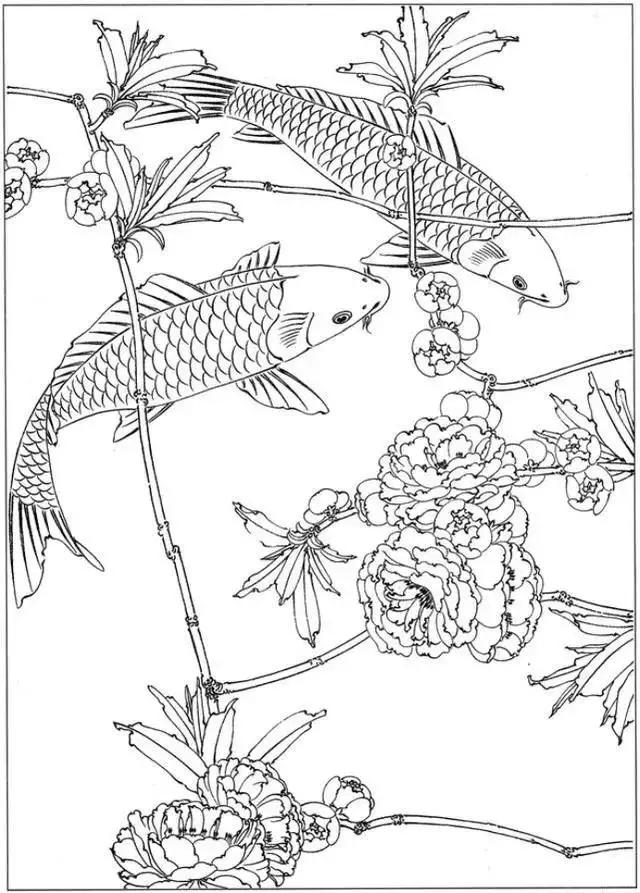 简单易画的工笔画线稿,各种鱼类工笔画图片