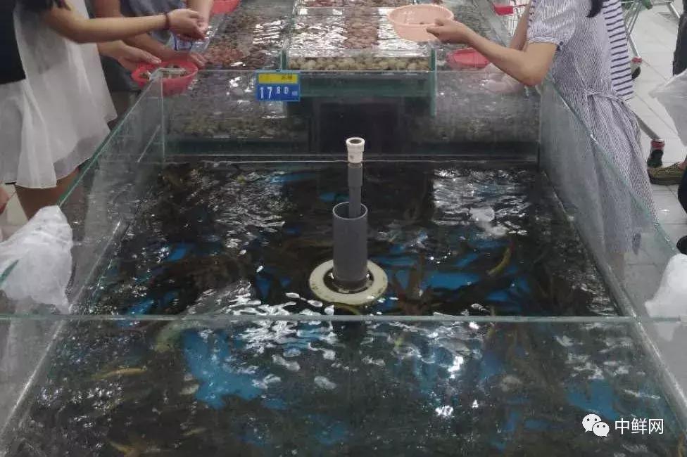 水产销售的技巧和方法,7月水产