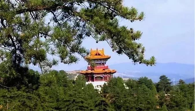 大同浑源凉粉,大同非遗文化浑源凉粉