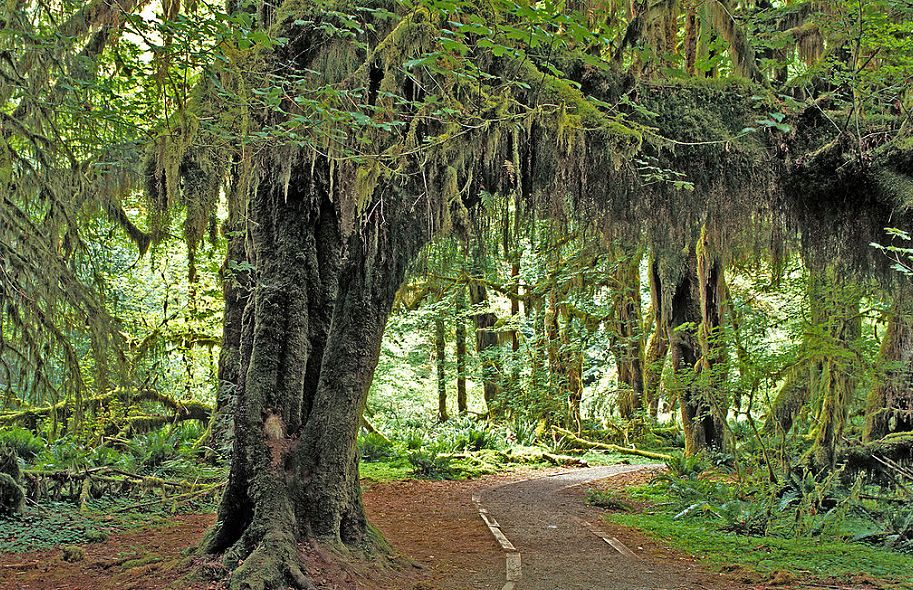 和哈佛大学教授学习一天,中国顶尖的景观设计专家