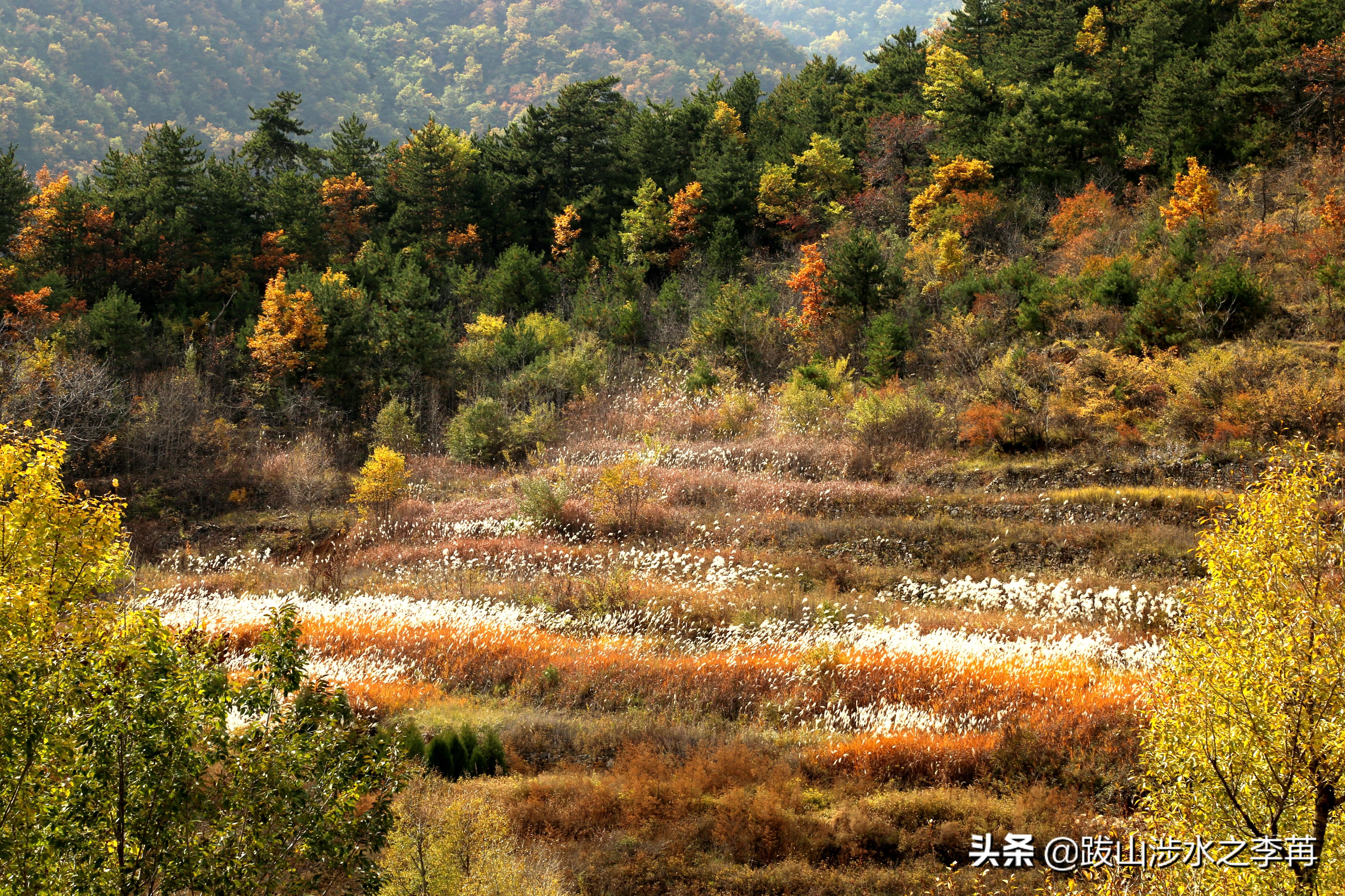 深藏在太行山中的古村落竹林沟,深山沟里的绝世古村