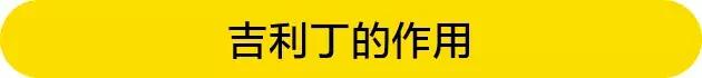 不知道吉利丁是什么？别怕，我们帮你整理好了，一文读懂它！