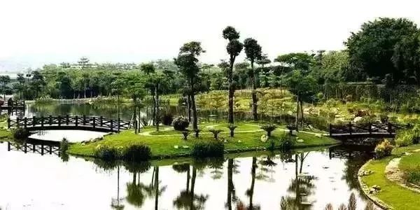 上海23个免费游玩的景点攻略,上海值得去的免费景点排名前十