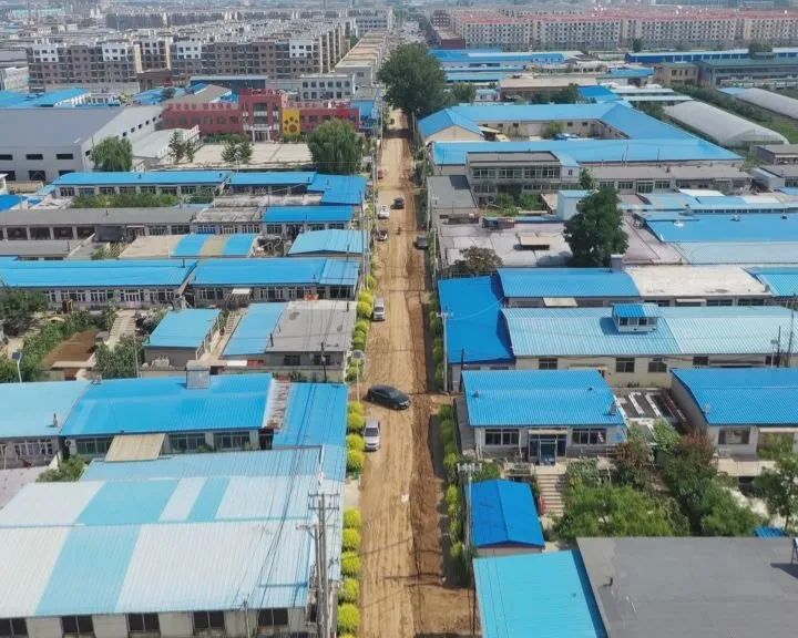 营口鲅鱼圈葡萄苗,营口鲅鱼圈葡萄种植