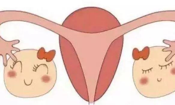 远离恶习|「保养好卵巢」女人一生的幸福