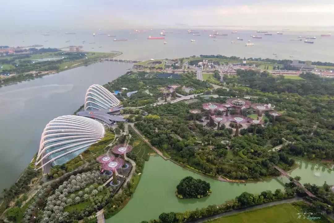 新加坡遛娃最佳地点,新加坡遛娃的好去处