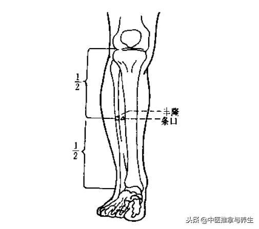 体内水湿怎么去除?按揉穴位即可解决!
