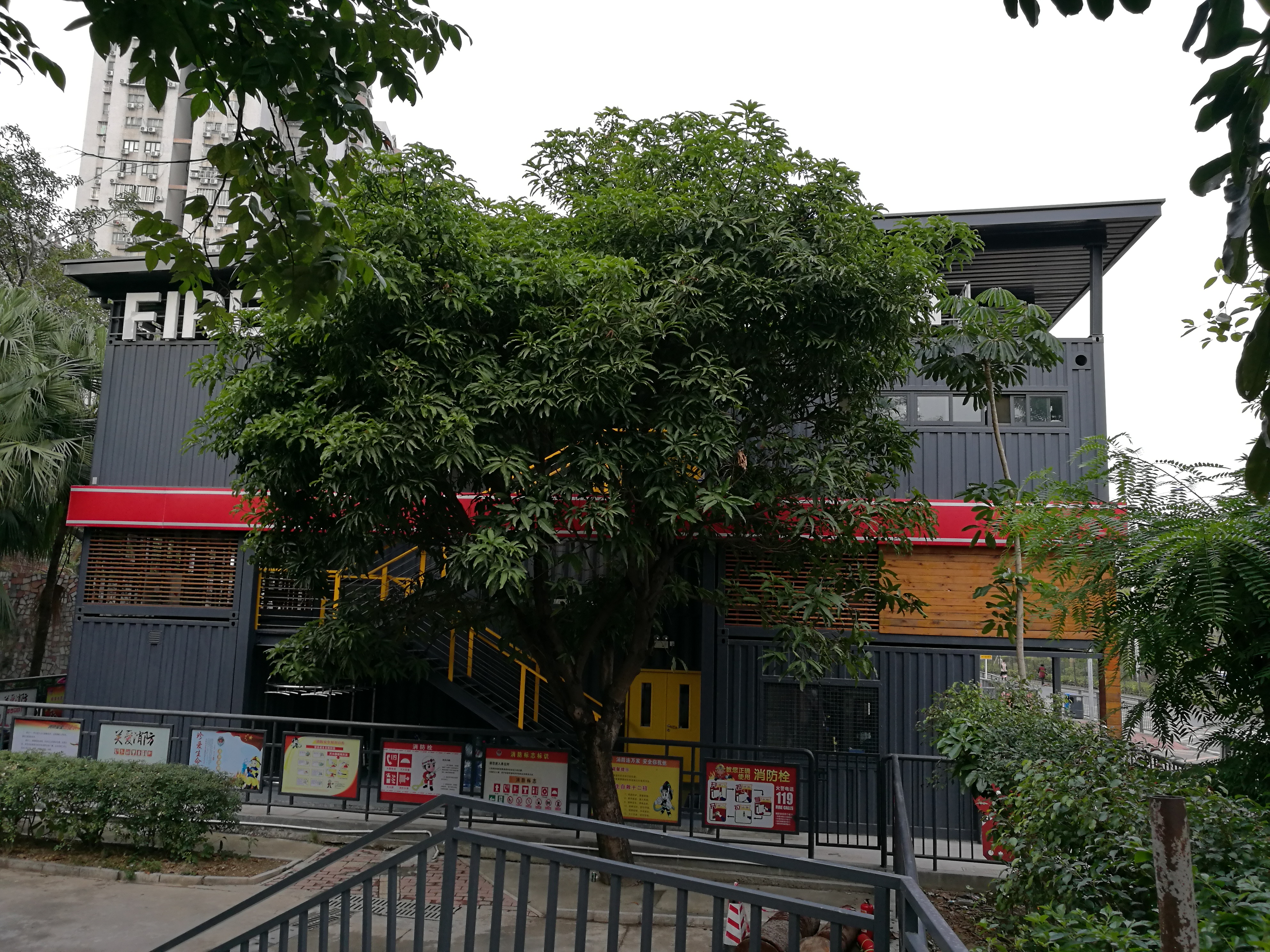 平安夜偶遇第一场雪,平安夜偶遇生日