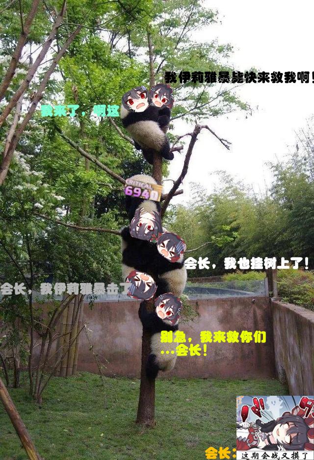 公主连结re:dive阵容推荐,公主连结re:dive免费观看完整版