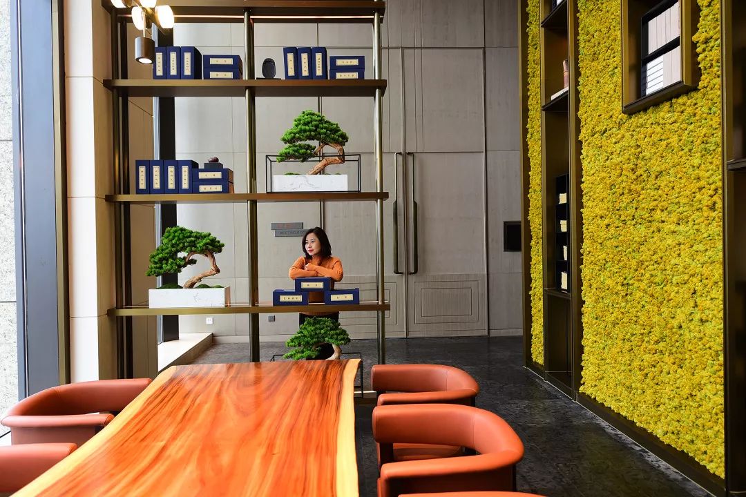 天府广场老成都,老成都天府广场