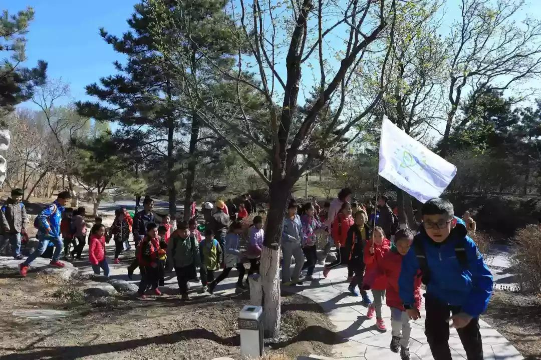首都师范大学附属云岗小学:追溯北京古风韵遍寻春日俏风光