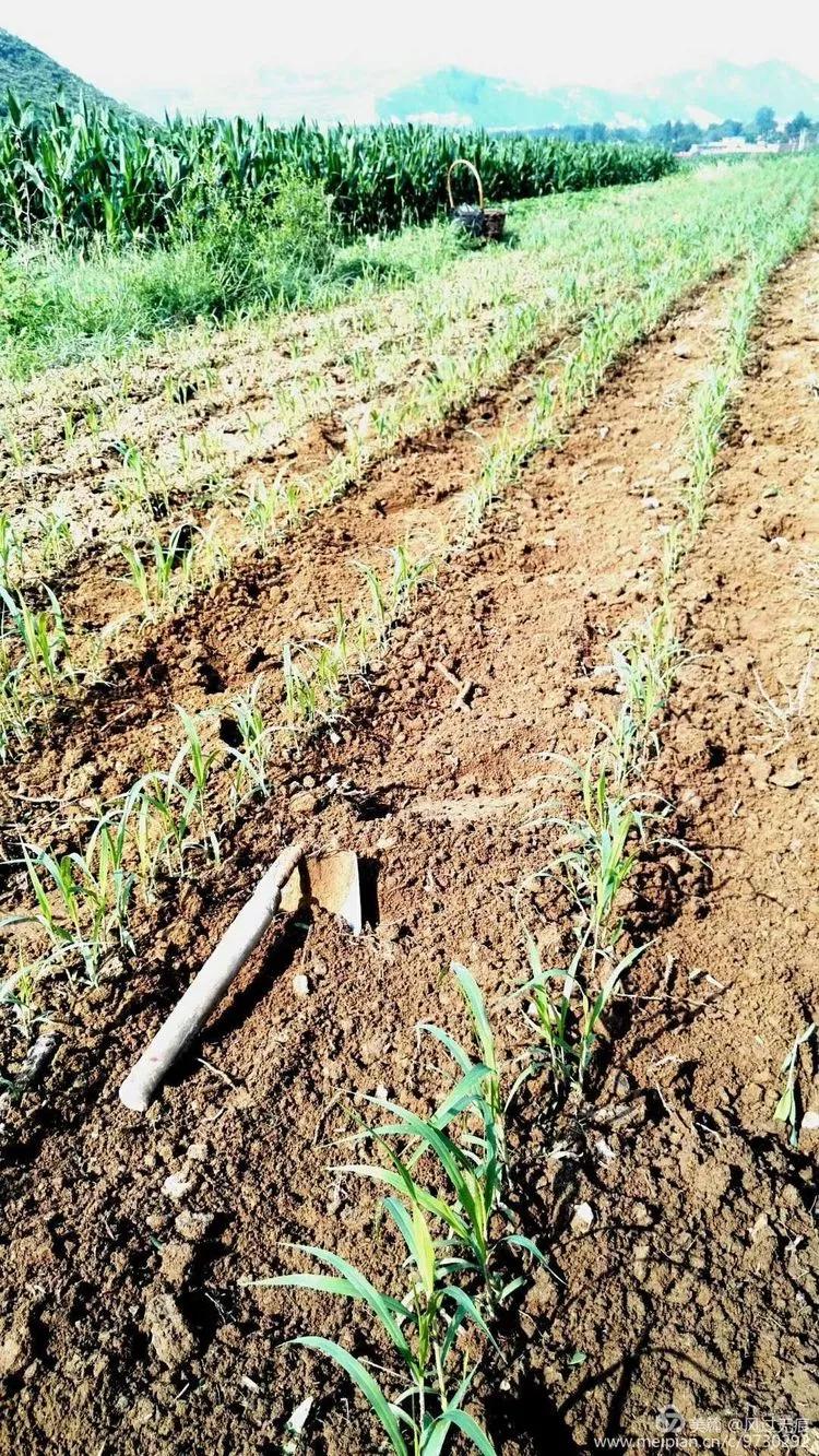 保定十八渡航拍,保定十八渡环湖公路