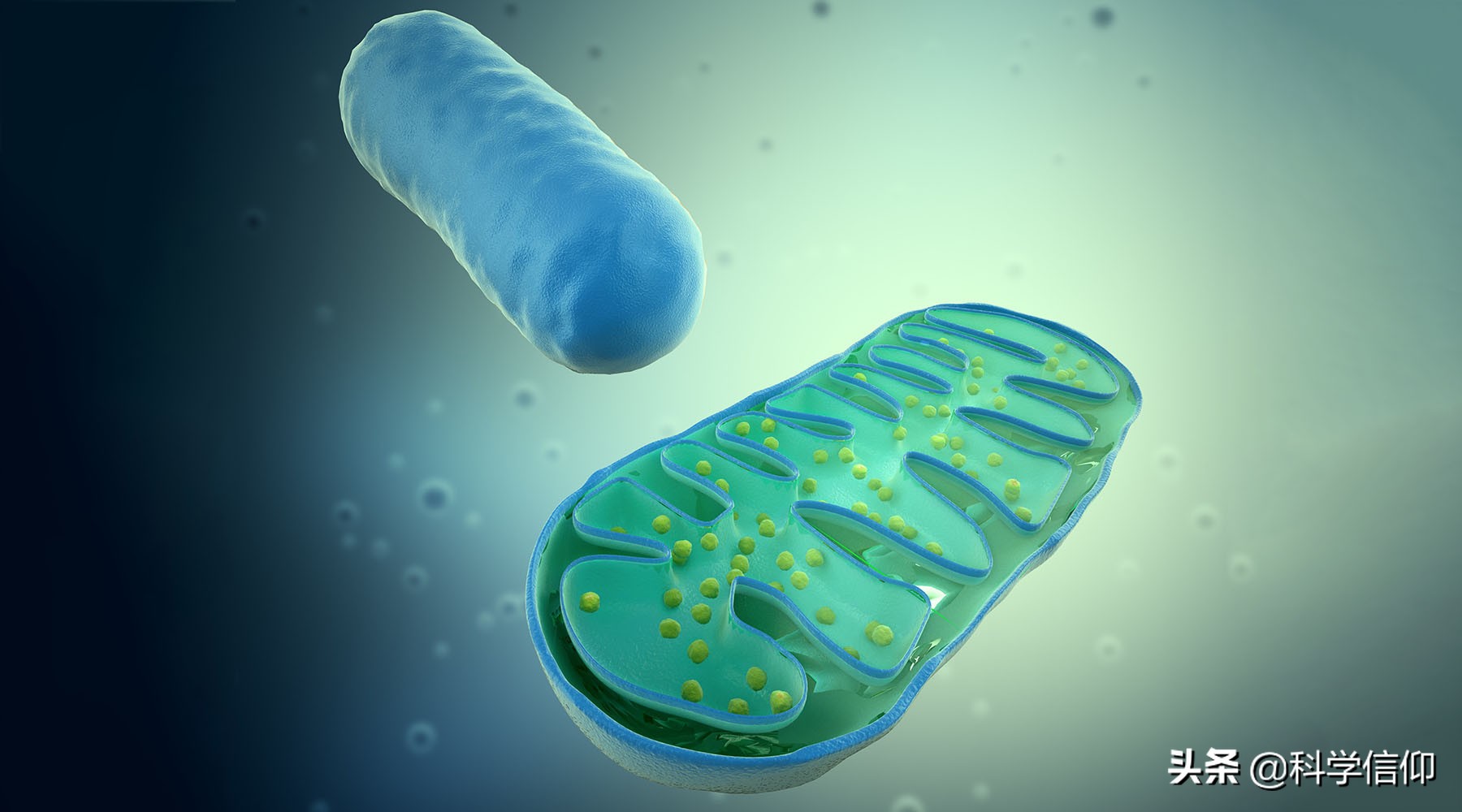 世界各地人种不同,全部起源于非洲?中国人未必