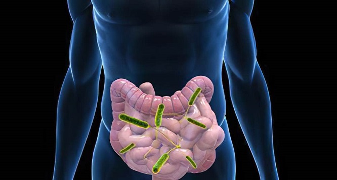 屁为啥不臭还多,屁为什么闻起来是香的