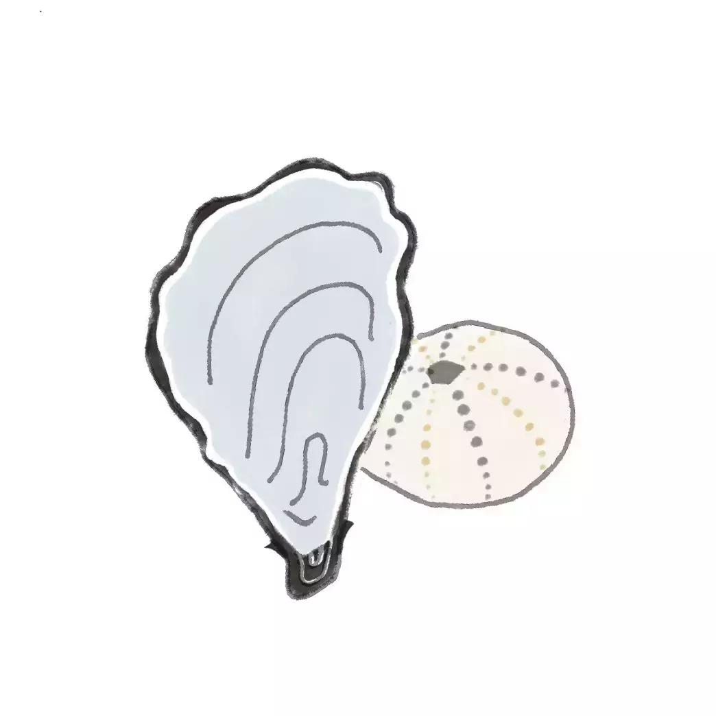 垃圾分类难点有效做法,垃圾分类知识分享