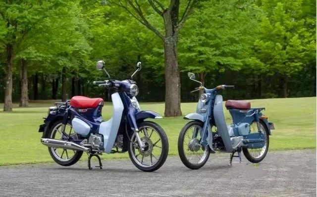 本田幼兽和威武的区别,本田幼兽多厉害