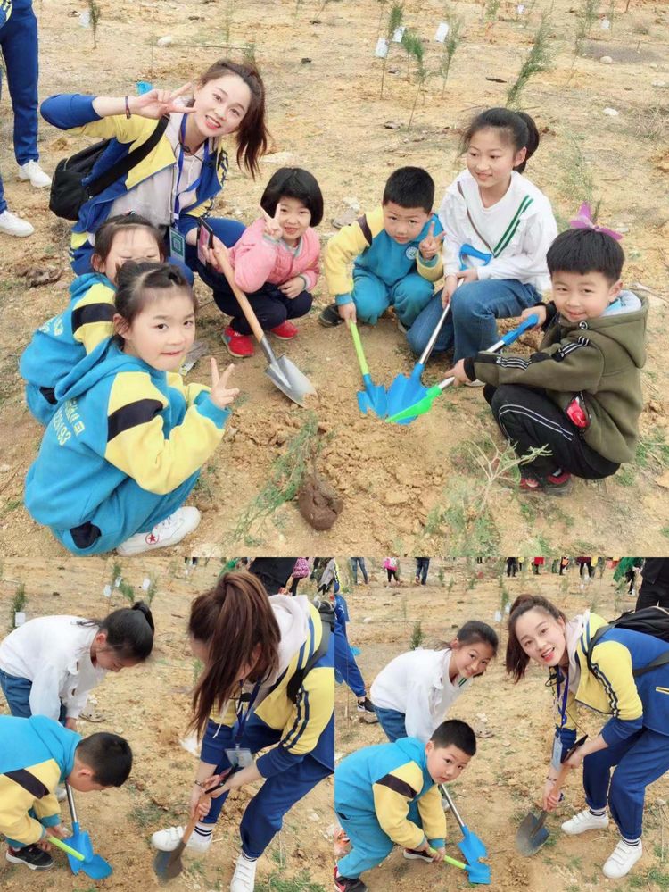 襄阳幼儿园智慧树,襄阳东方国际幼儿园直播