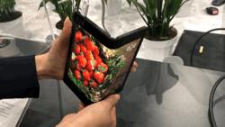 中关村的性能排行,中关村最新技术