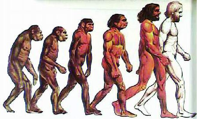 腰椎管狭窄症是怎么回事儿（二）该保守还是要手术呢？