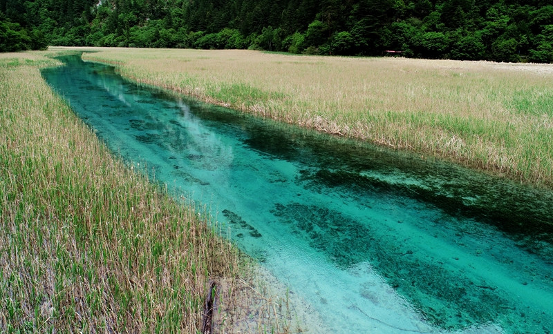 九寨沟旅游如何购票,九寨沟官网购票旅游攻略