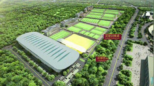 大连专业足球场最新进度,大连沙河口区足球场