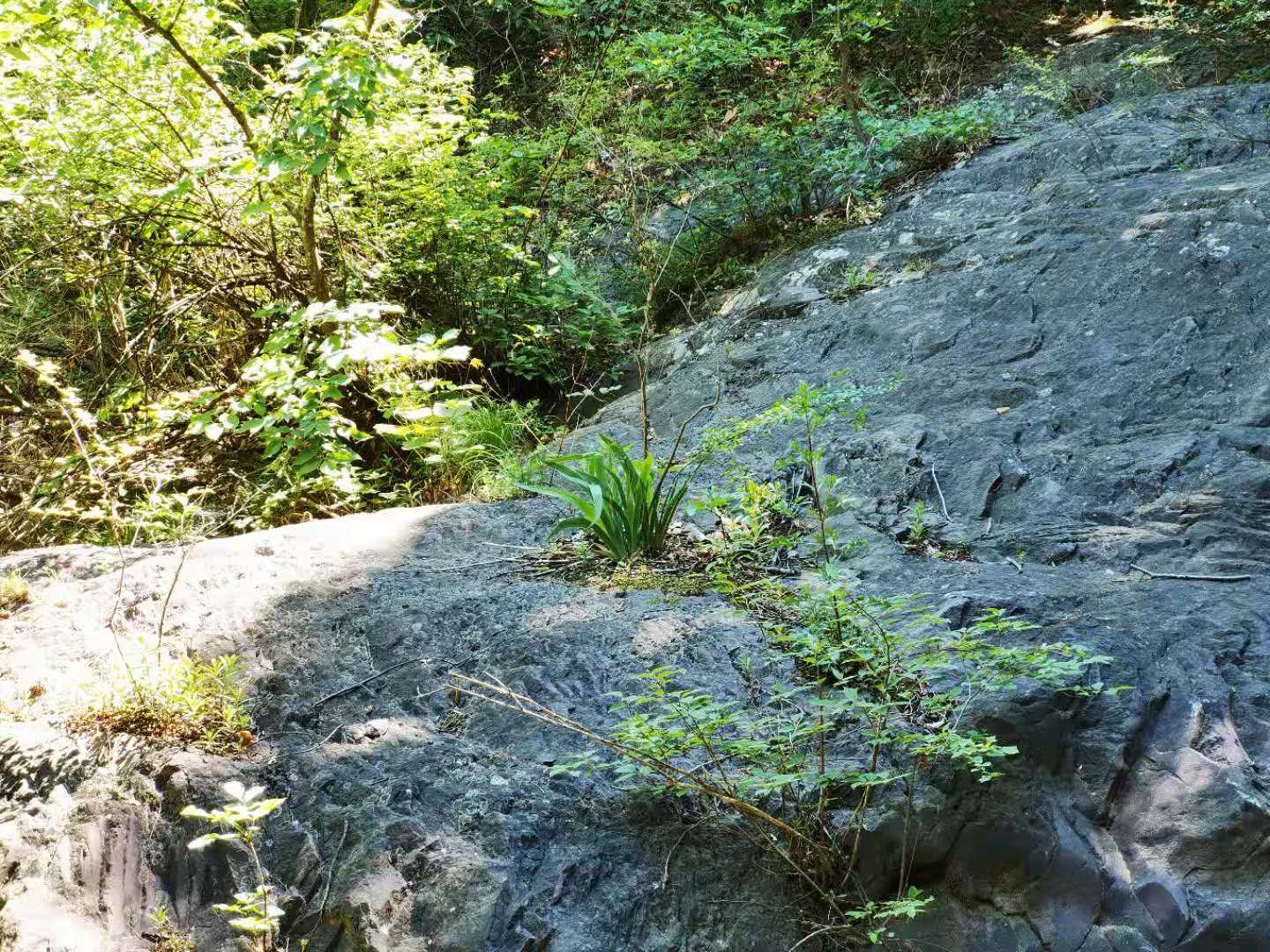 打卡北京双龙峡风景区,十里溪流百潭瀑布,北方小九寨名不虚传