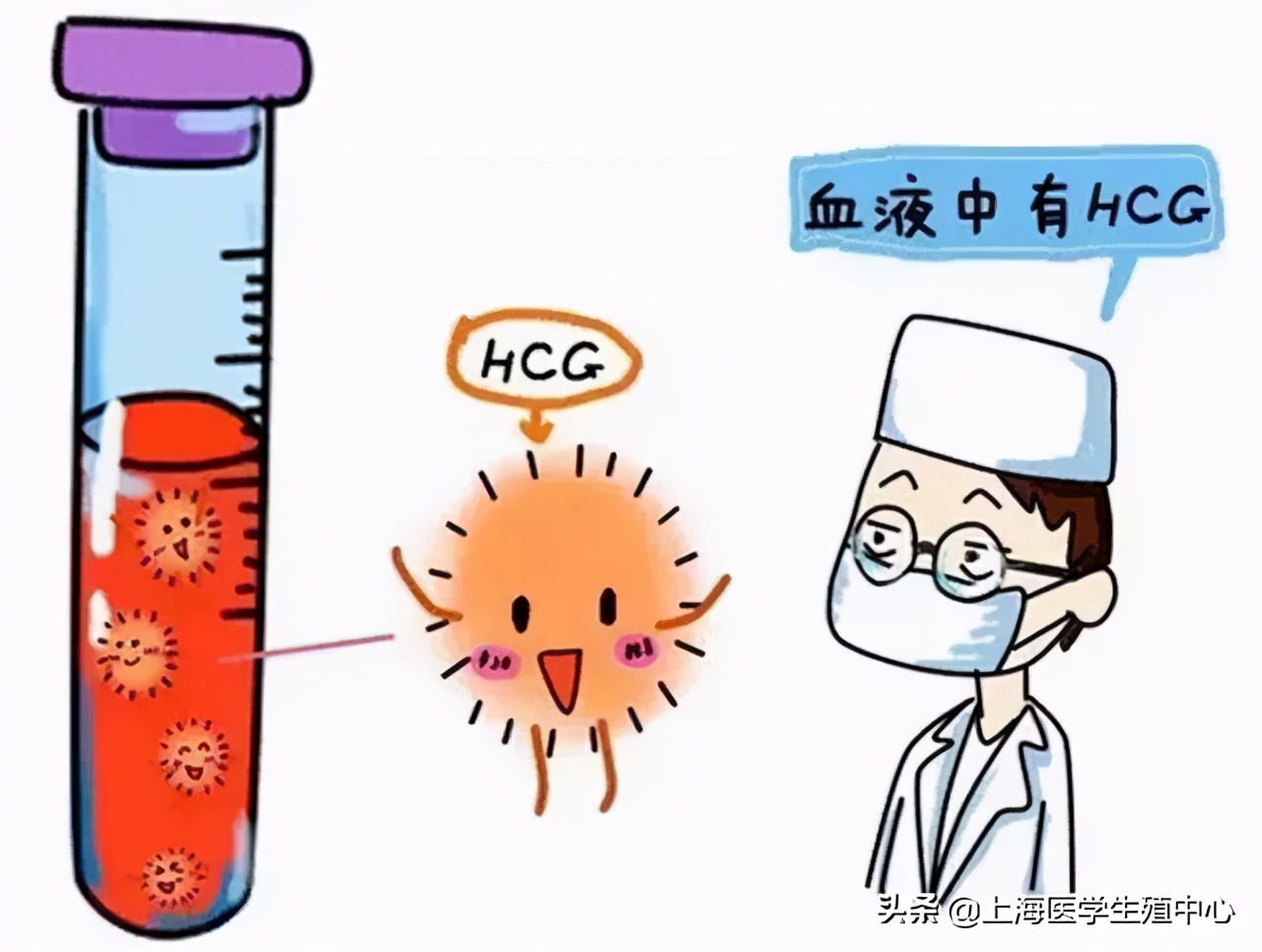 试管婴儿移植后出血是怎么回事,试管婴儿移植后出血是正常现象吗