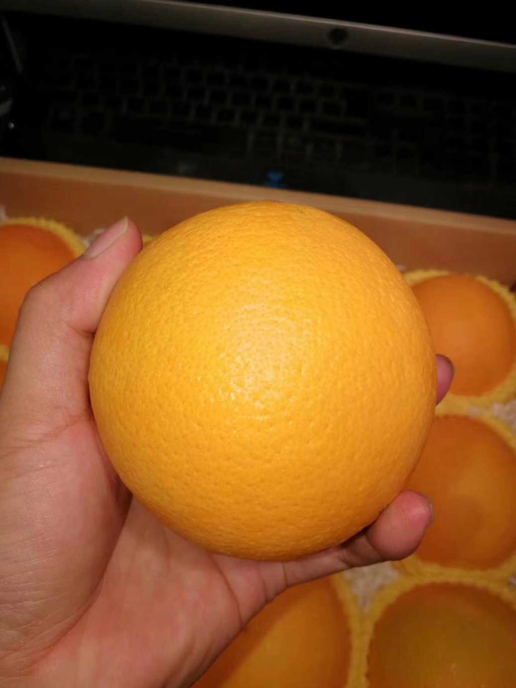 全球十大名橙排名,国内外名橙