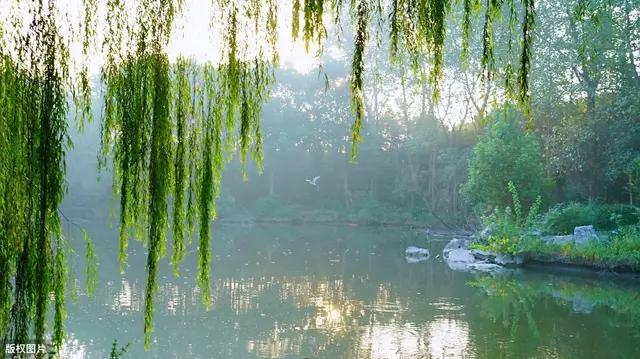 满庭芳烟云赋原唱,满庭芳国色歌曲完整版